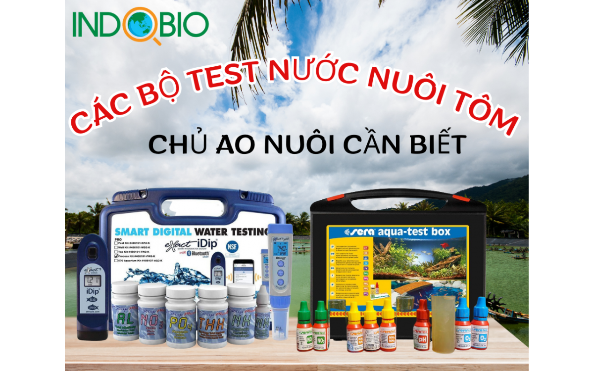 Các bộ test nước nuôi tôm quan trọng mà chủ ao nuôi cần biết