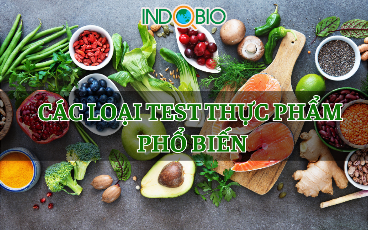 CÁC LOẠI TEST NHANH THỰC PHẨM PHỔ BIẾN MÀ BẠN NÊN BIẾT