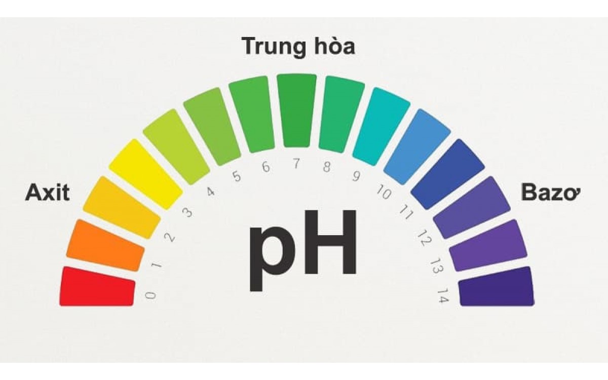 Những bộ test pH và ứng dụng thực tế