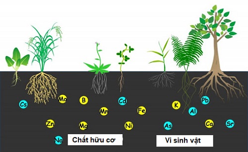  chỉ tiêu đánh giá chất lượng đất