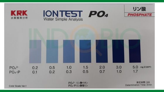 bộ test phospho nước thải wit-po4