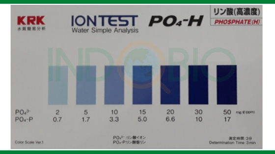 Bộ test PO4 (phosphat) wit-po4-h