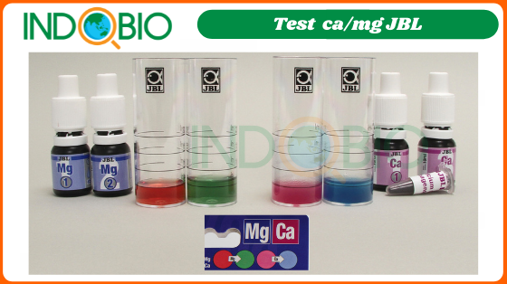 cách test ca/mg trong nước với test canxi magie JBL